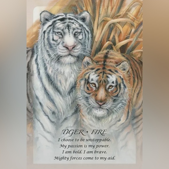 Spirit of the Animals Oracle - Picture 6 of 12